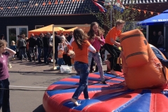 Koningsdag 2015