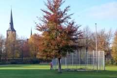 P1000284