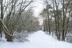 Januari 2019