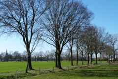 P1160917