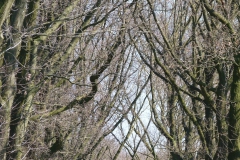 P1160978